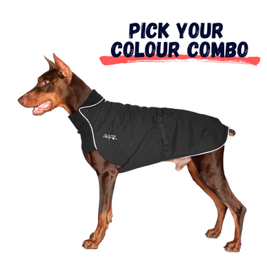 Pick Your Colour Combo: Alpine Blazer 3-Season Dog Coat